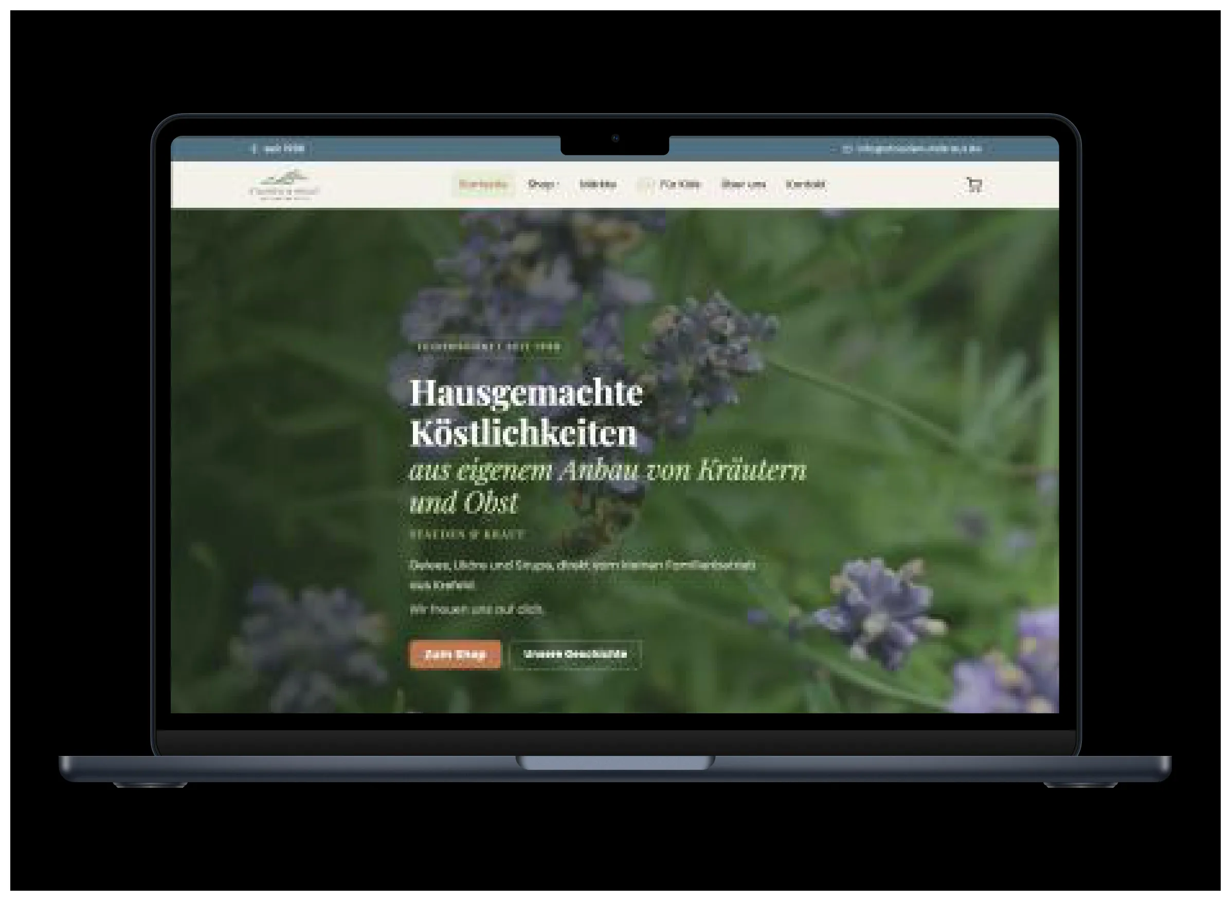 Stauden & Kraut – Webshop auf Laptop