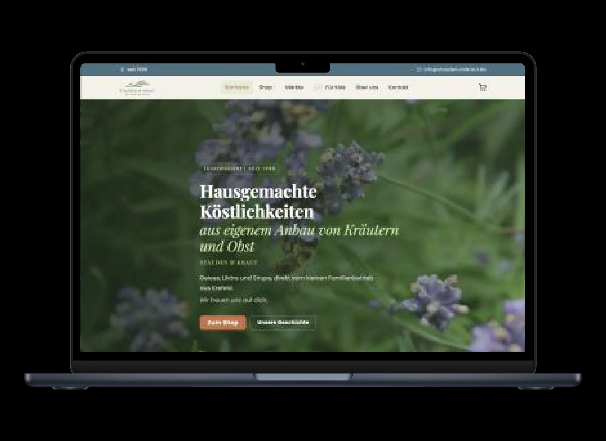 Stauden & Kraut – Webshop auf Laptop